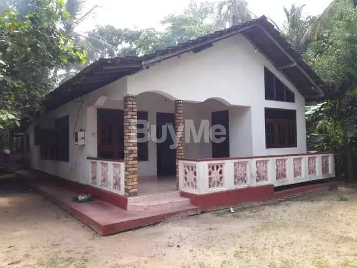 HOUSE FOR RENT IN NATTANDIYA