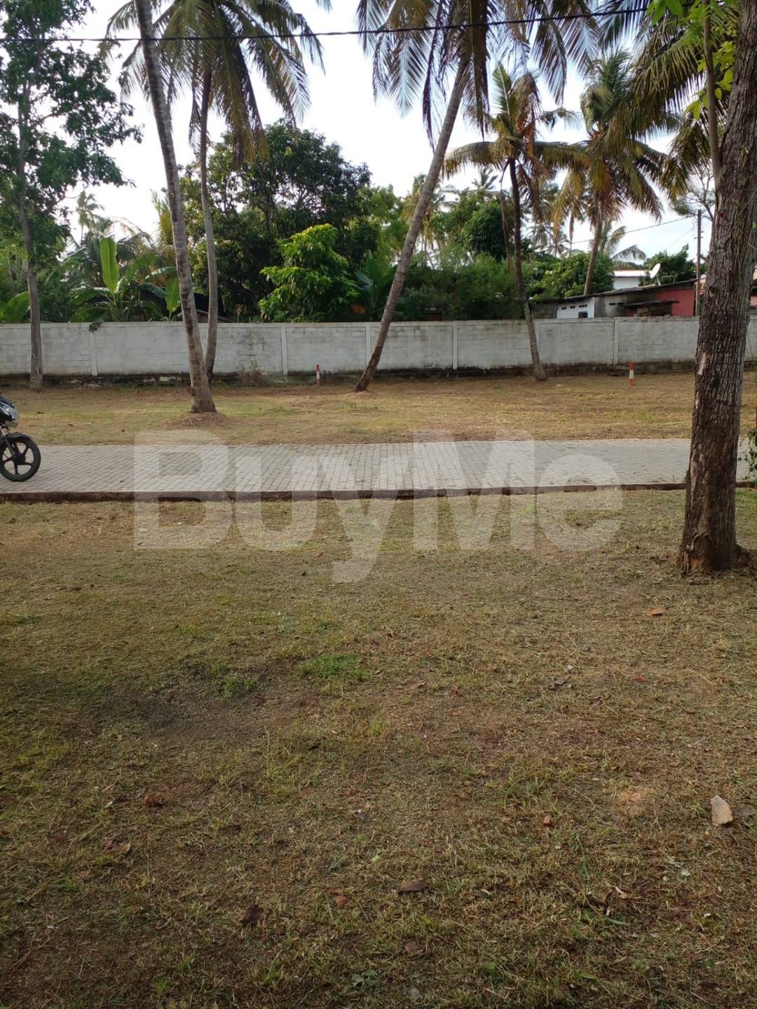 LAND FOR SALE IN WATTALA - SAVI LANDS