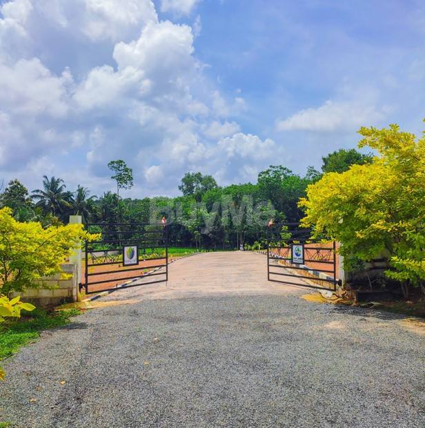 LAND FOR SALE IN THALAWATHUGODA - NOTTING HILL BY SAVI LANDS
