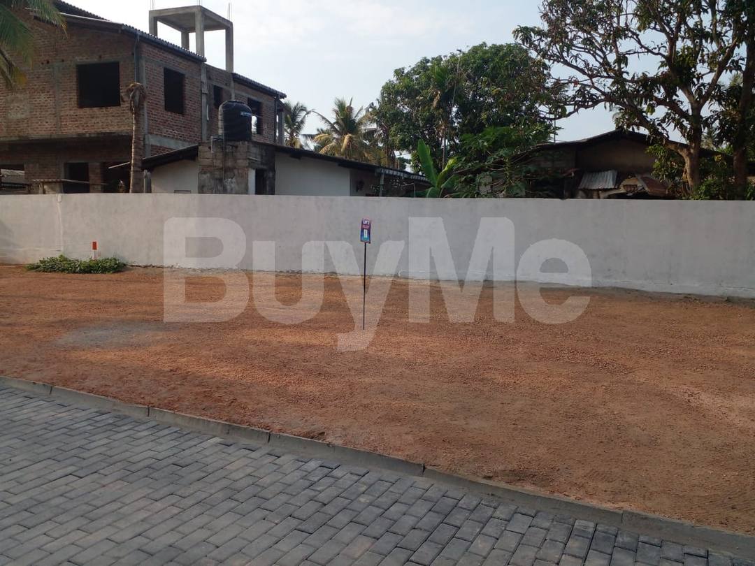 LAND FOR SALE IN WATTALA - SAVI LANDS