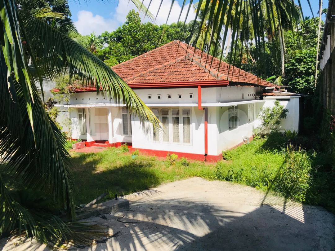 LAND & HOUSE FOR SALE IN BENTOTA