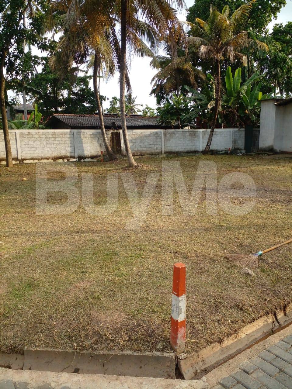 LAND FOR SALE IN WATTALA - SAVI LANDS