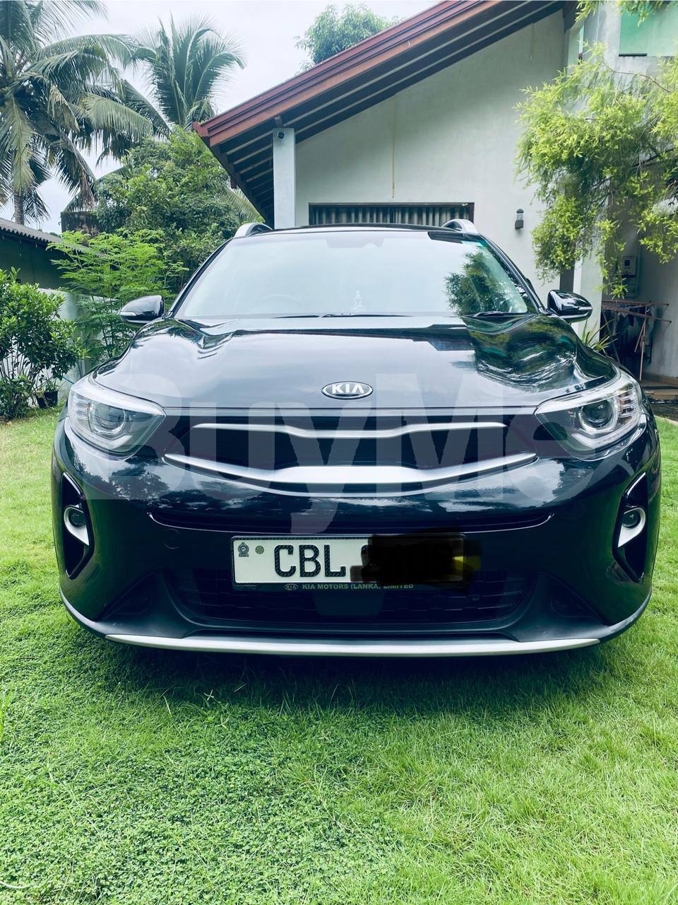 KIA STONIC 2019