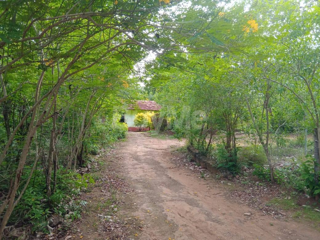 LAND FOR SALE IN KATARAGAMA