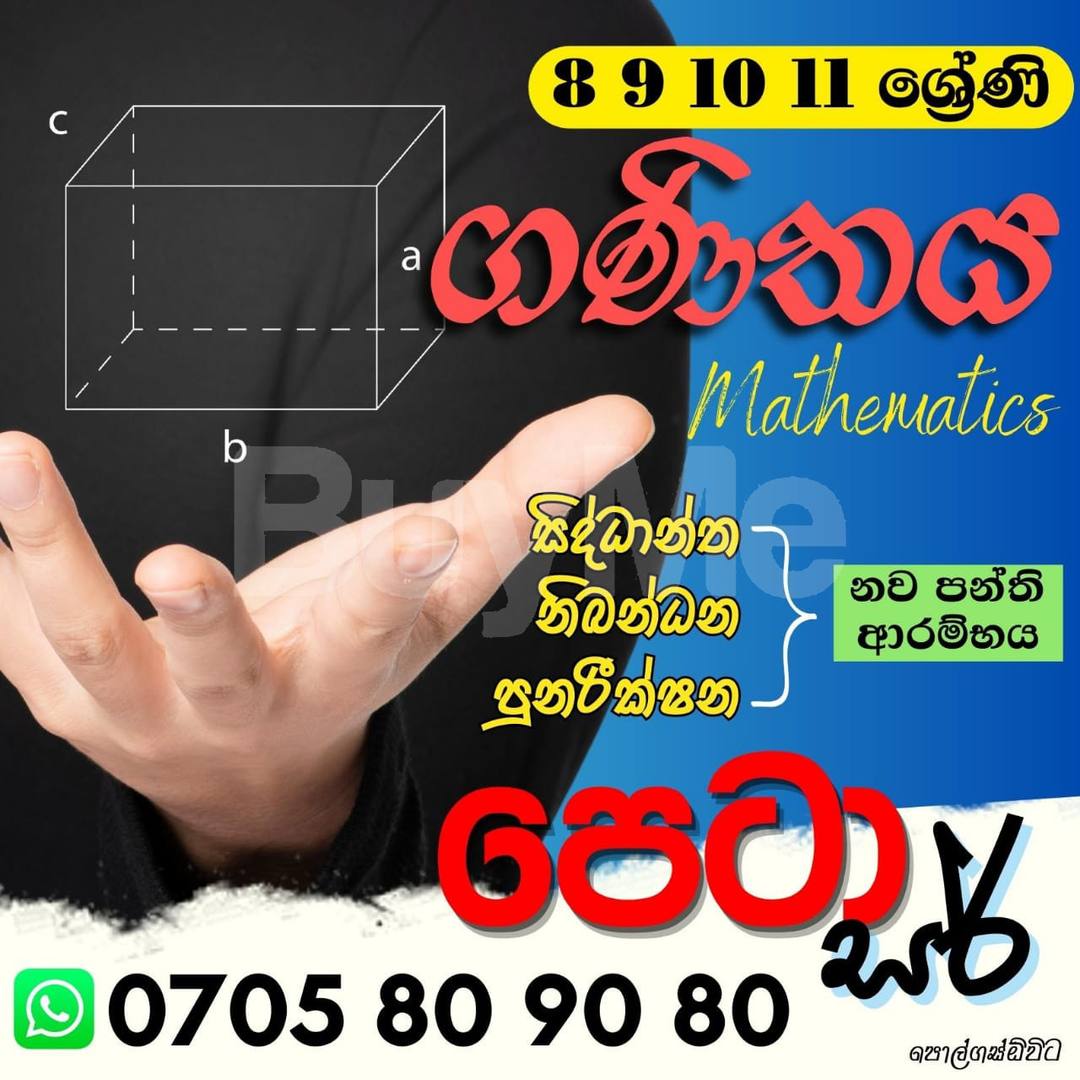 GRADE 8 TO 11 MATHS CLASSES THROUGH ONLINE - PETA SIR
