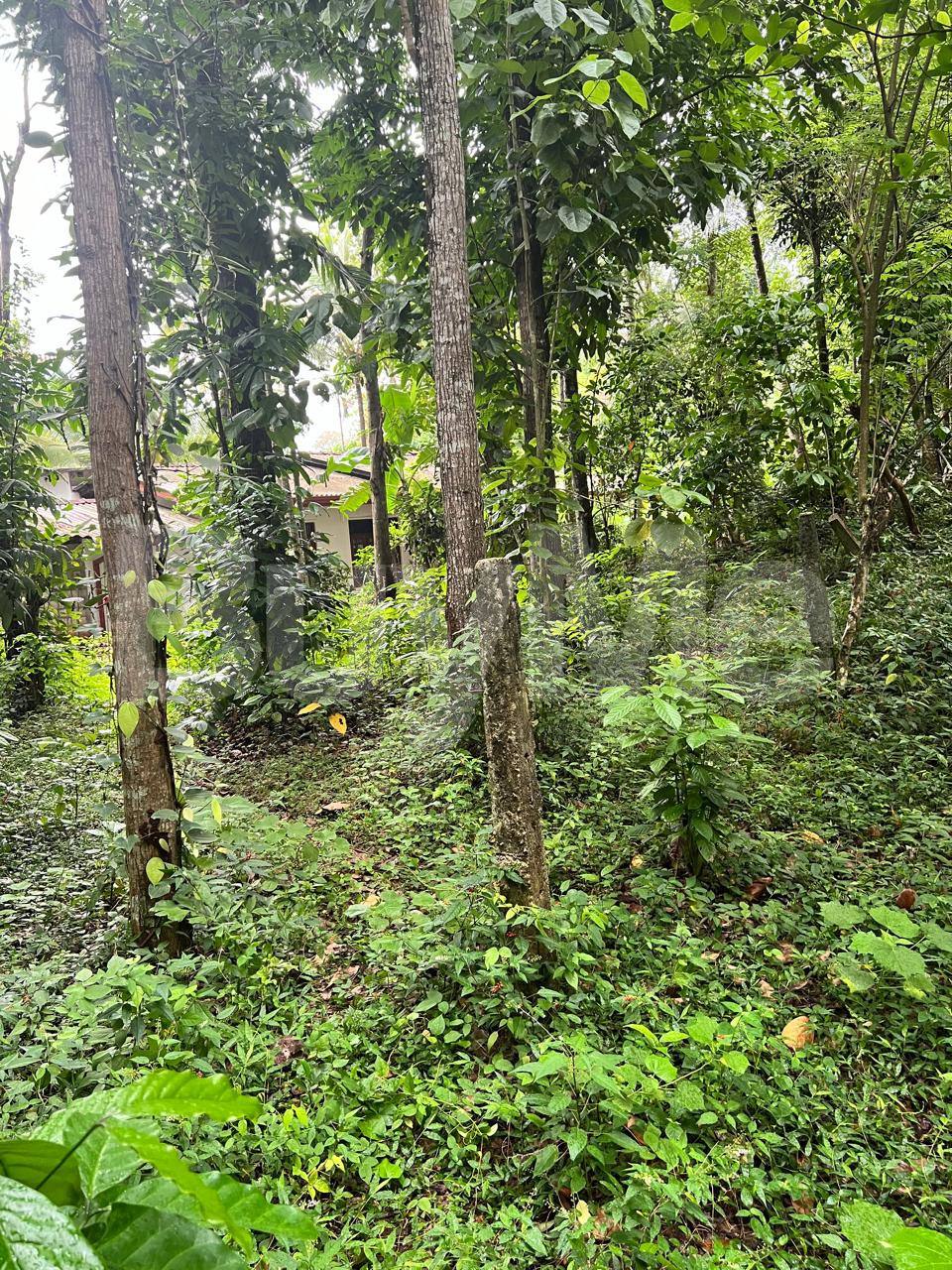 LAND FOR SALE IN KUNDASALE