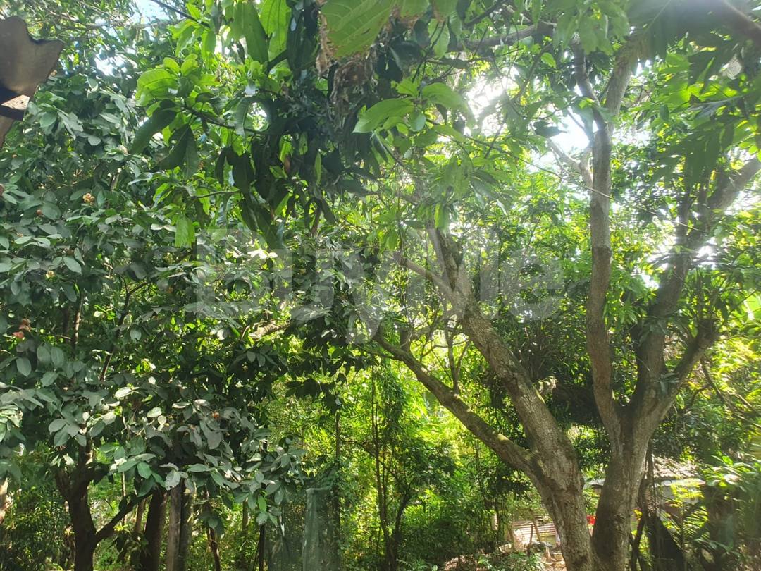 20 PERCH LAND FOR SALE IN KATUNAYAKE