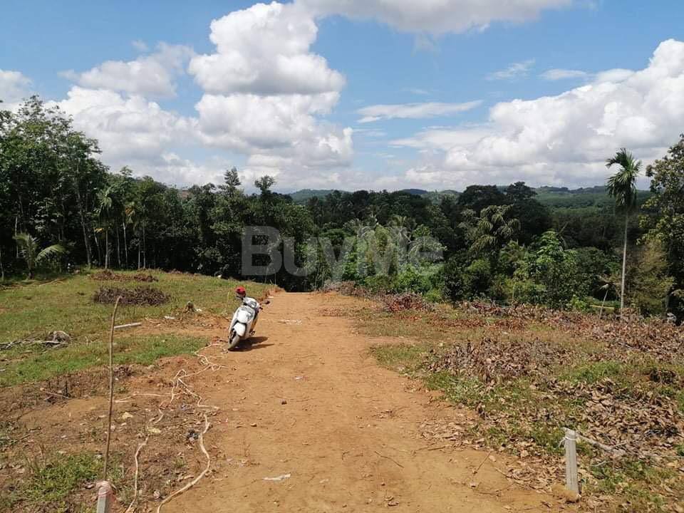VALUABLE LAND FOR SALE IN GALIGAMUWA KEGALLE