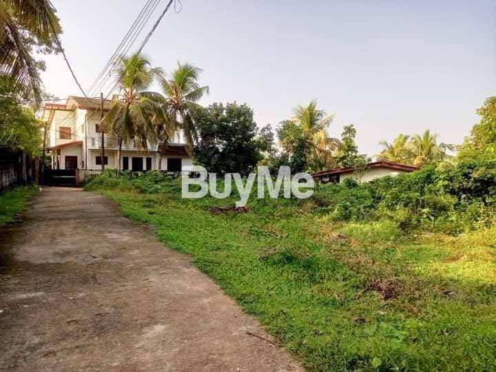 LAND FOR SALE IN KALUTARA PALATHOTA