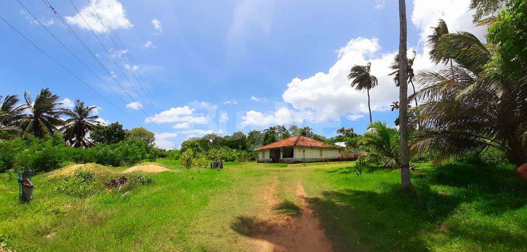 අම්බලන්තොට මැඩිල්ල ප්‍රදේශයෙන් අගනා ඉඩමක් විකිණීමට