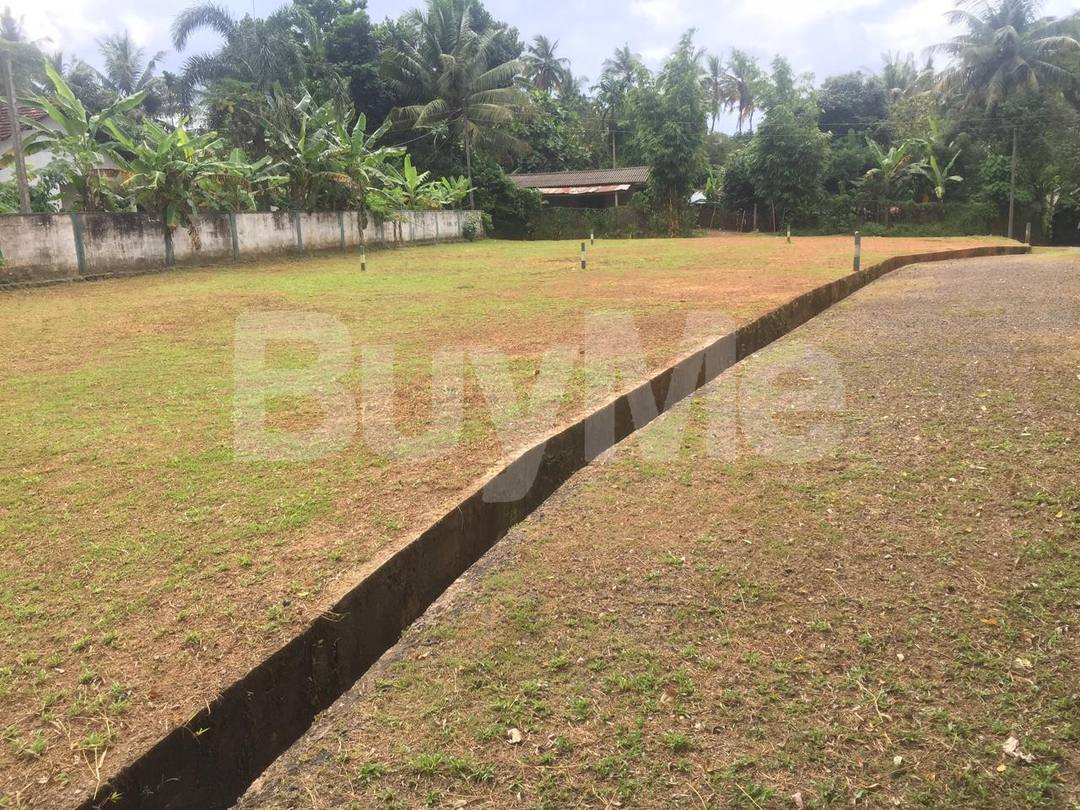 LAND FOR SALE IN WELIVERIYA - ( RAN NIYARA BY SAVI LANDS )