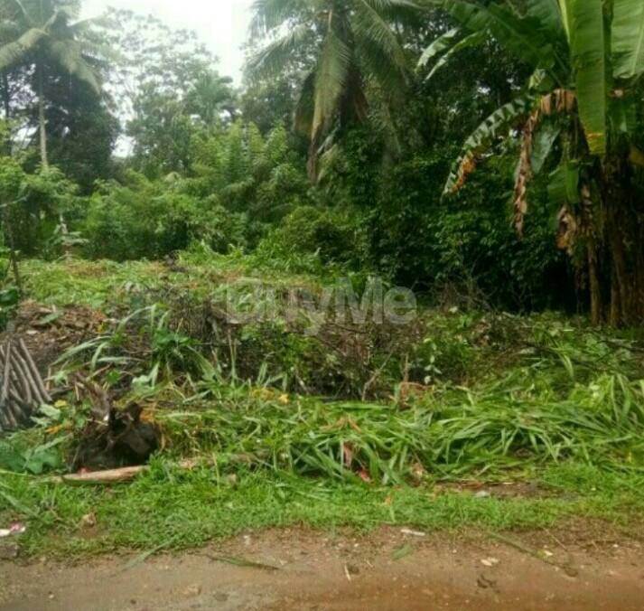 8 P LAND FOR SALE IN DEHIOWITA - EHELIYAGODA MAIN ROAD