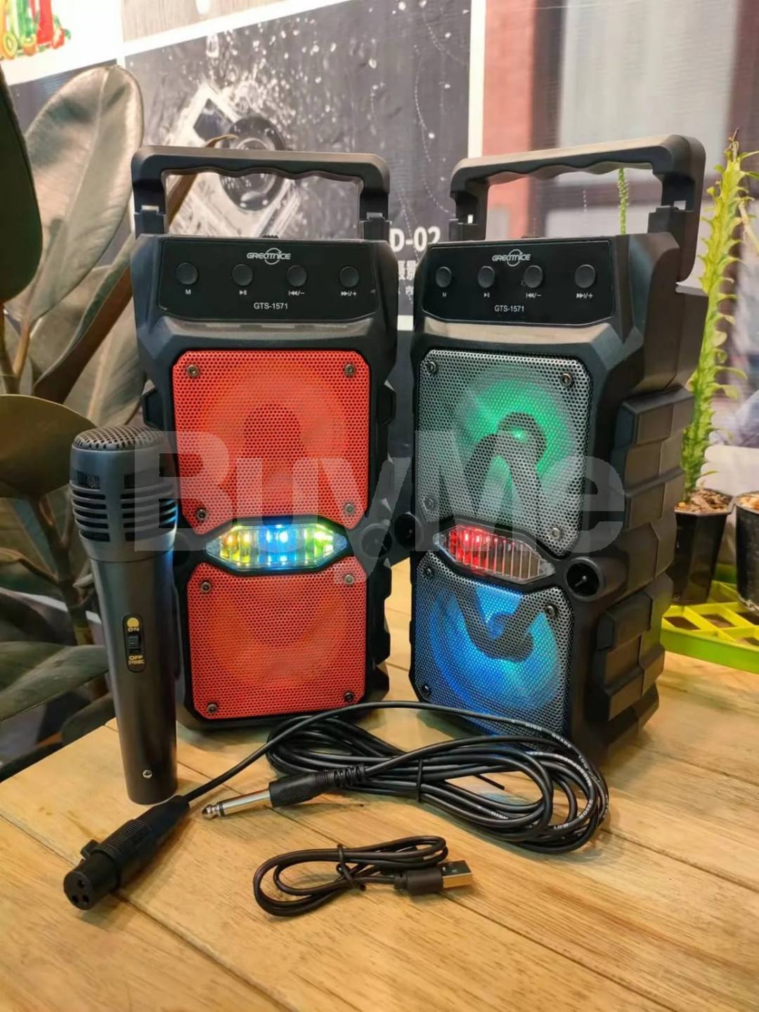 GTS-1571 WIRELESS SPEAKER (P01157)