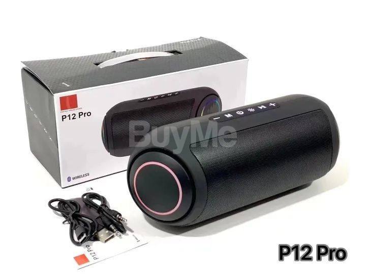 P-12 PRO PORTABLE WIRELESS SPEAKER - BLACK