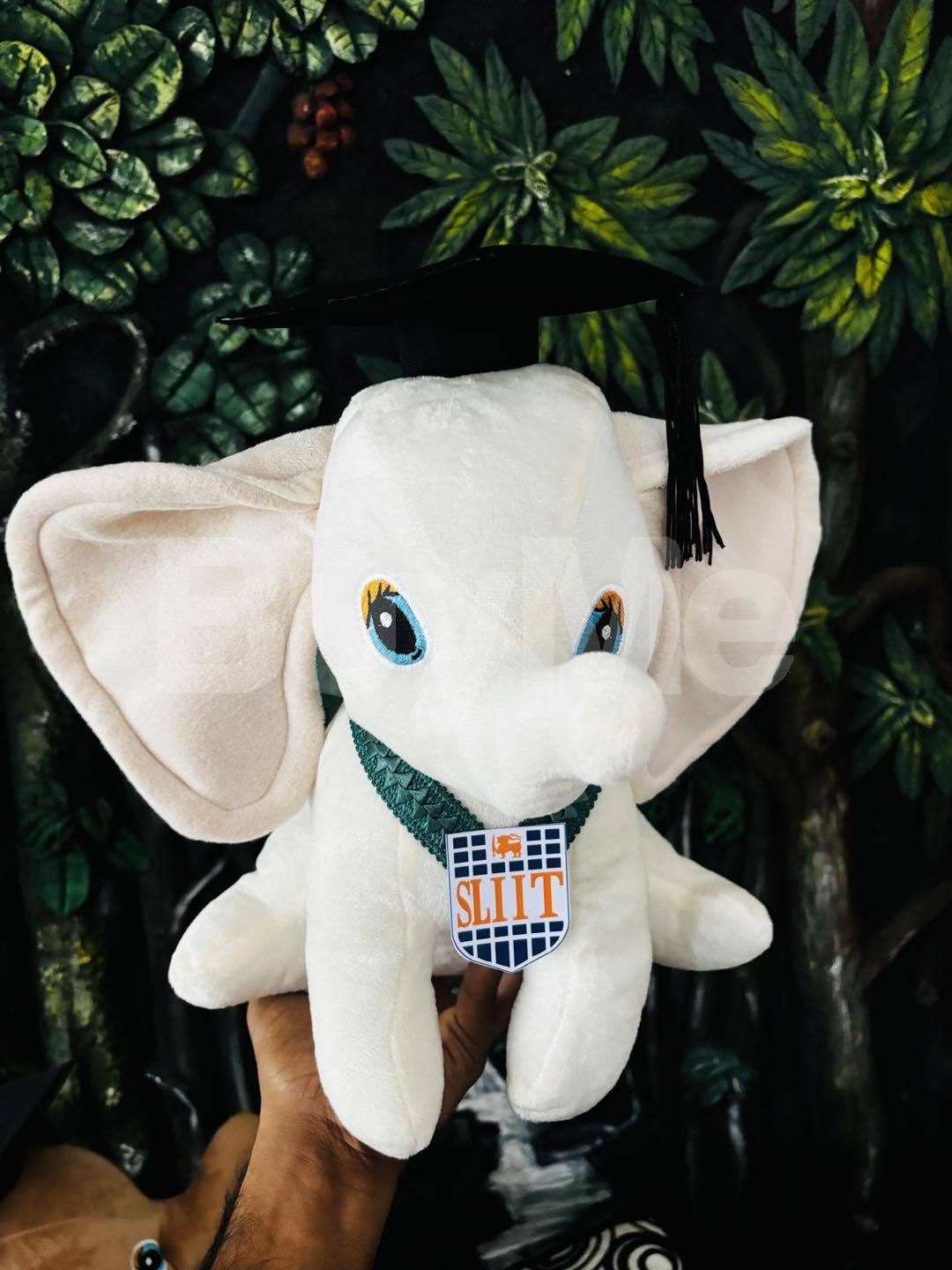 WHITE ELEPHANT  BEAR DESIGN - 24CM BEAR