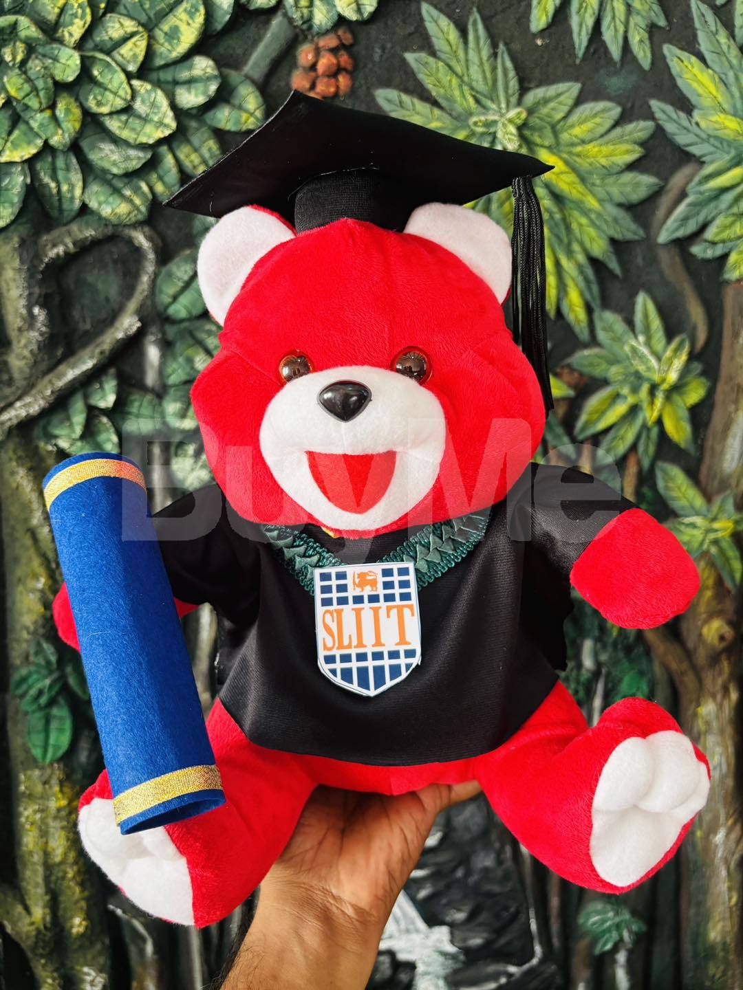 GRADUATION TEDDY BEAR(24CM) - RED
