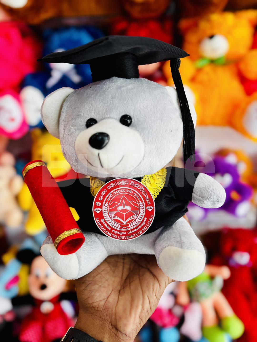 GRADUATION GIFT DEGREE TEDDY BEAR | UNIVERSITY CONVOCATION GIFT (24CM)