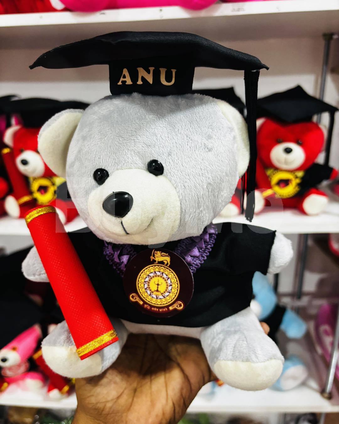CUTE BEAR DESIGNS (24CM) FOR UNIVERSITY CONVOCATION GIFTS