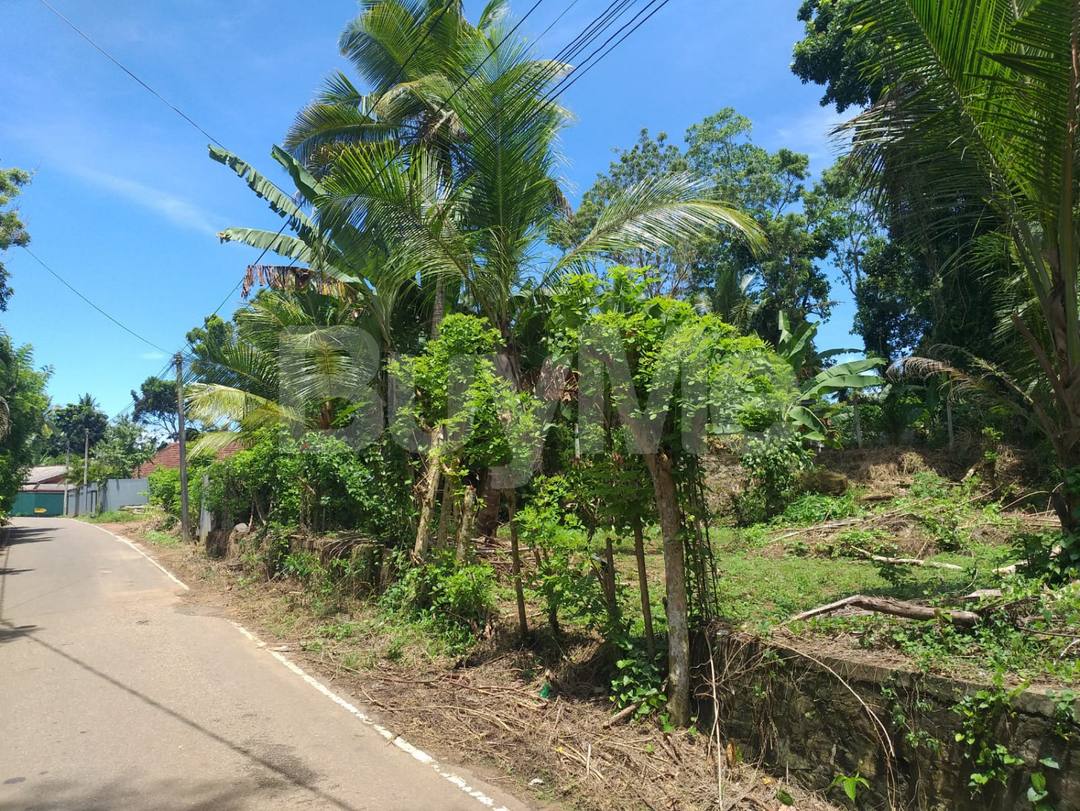 LAND WITH HOUSE FOR SALE IN HIKKADUWA