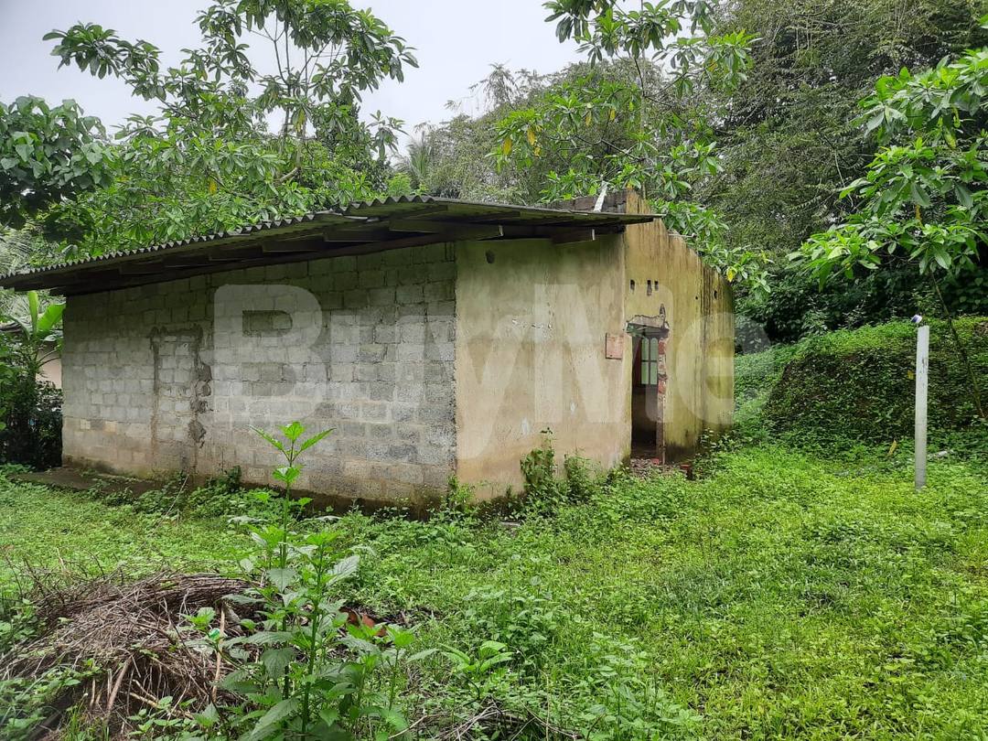 LAND FOR SALE IN KOSGAMA, AVISSAWELLA
