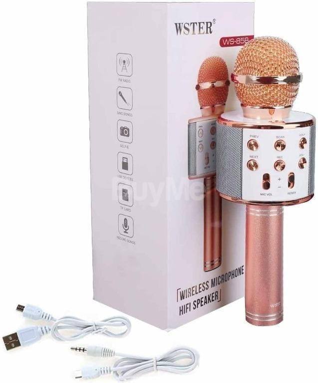 KARAOKE MIC (P00682)