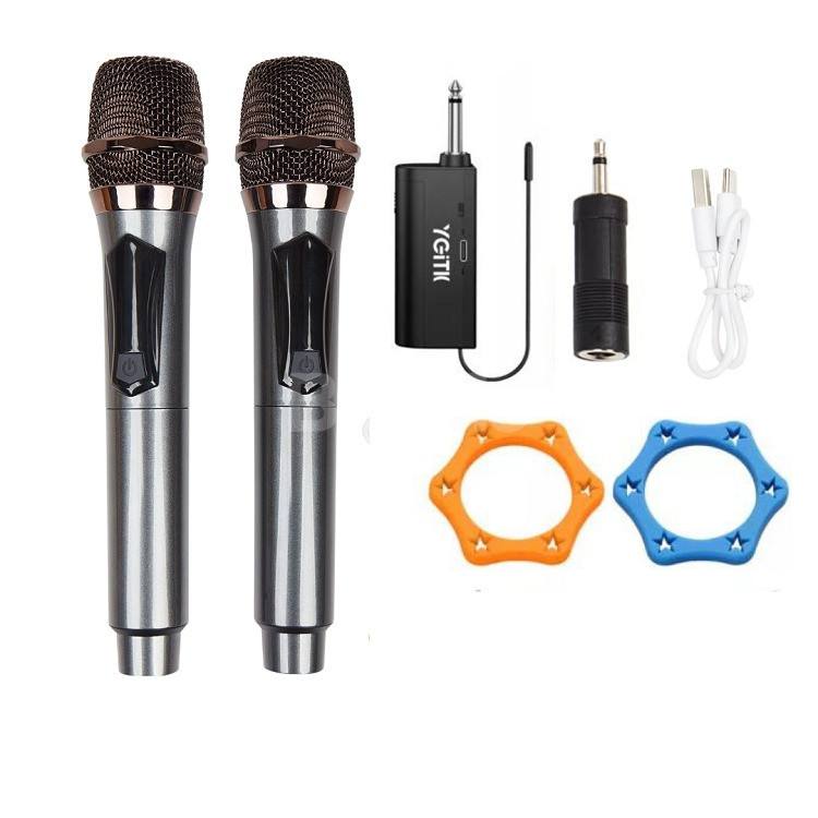 BT-M30 DUAL WIRELESS MICROPHONE