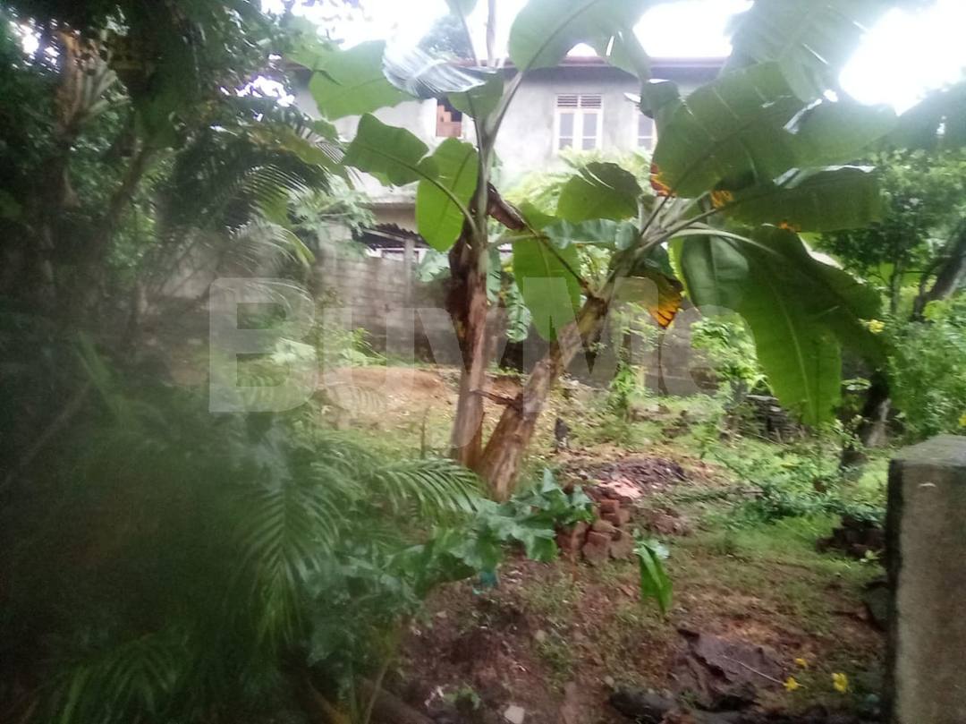LAND FOR SALE IN KADAWATHA