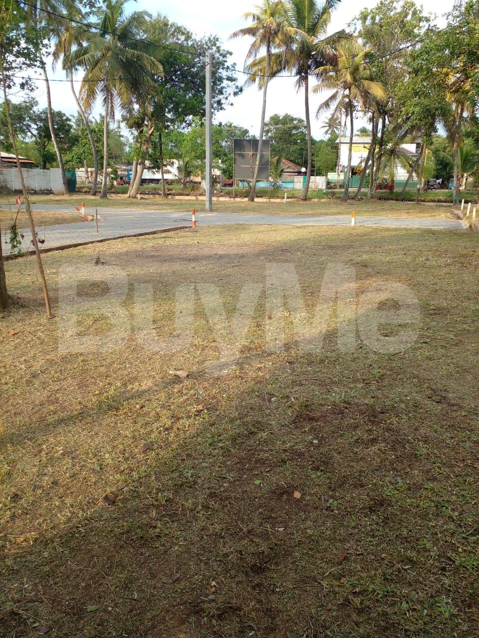 LAND FOR SALE IN WATTALA BY SAVI LANDS