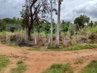LAND FOR SALE IN KURUNEGALA