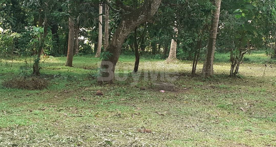 LAND FOR SALE IN HURIMALUWA, RAMBUKKANA
