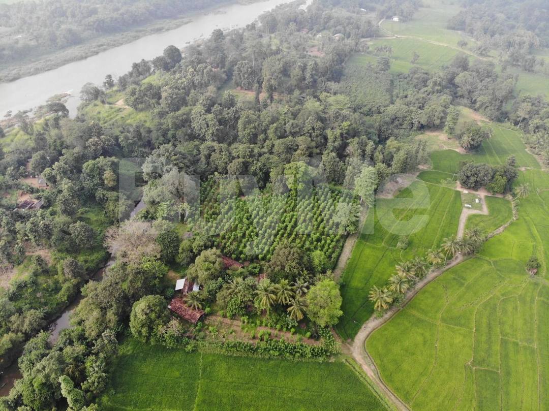 LAND FOR SALE IN MAHIYANGANA