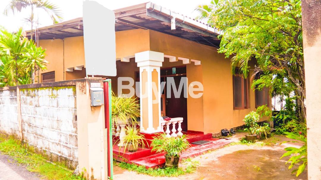 House With Land For Sale In Welisara