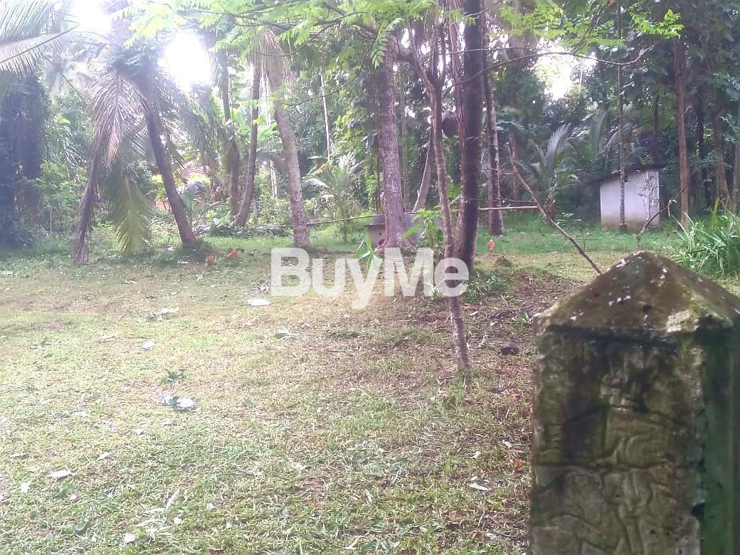2 LAND BLOCKS OF 20 PERCHES TO SALE ABOUT 400M TO RODEEGAMA ROAD
