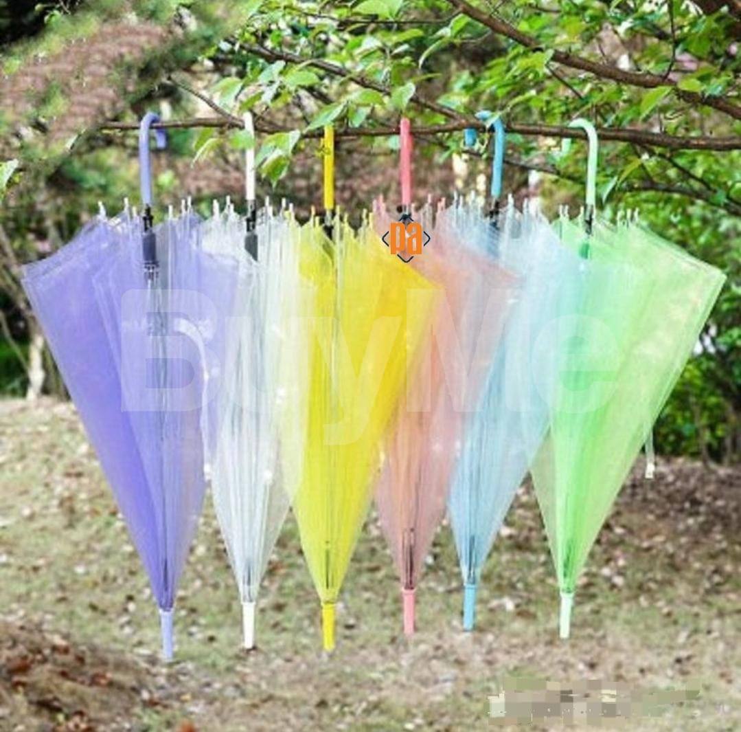 TRANSPARENT UMBRELLA