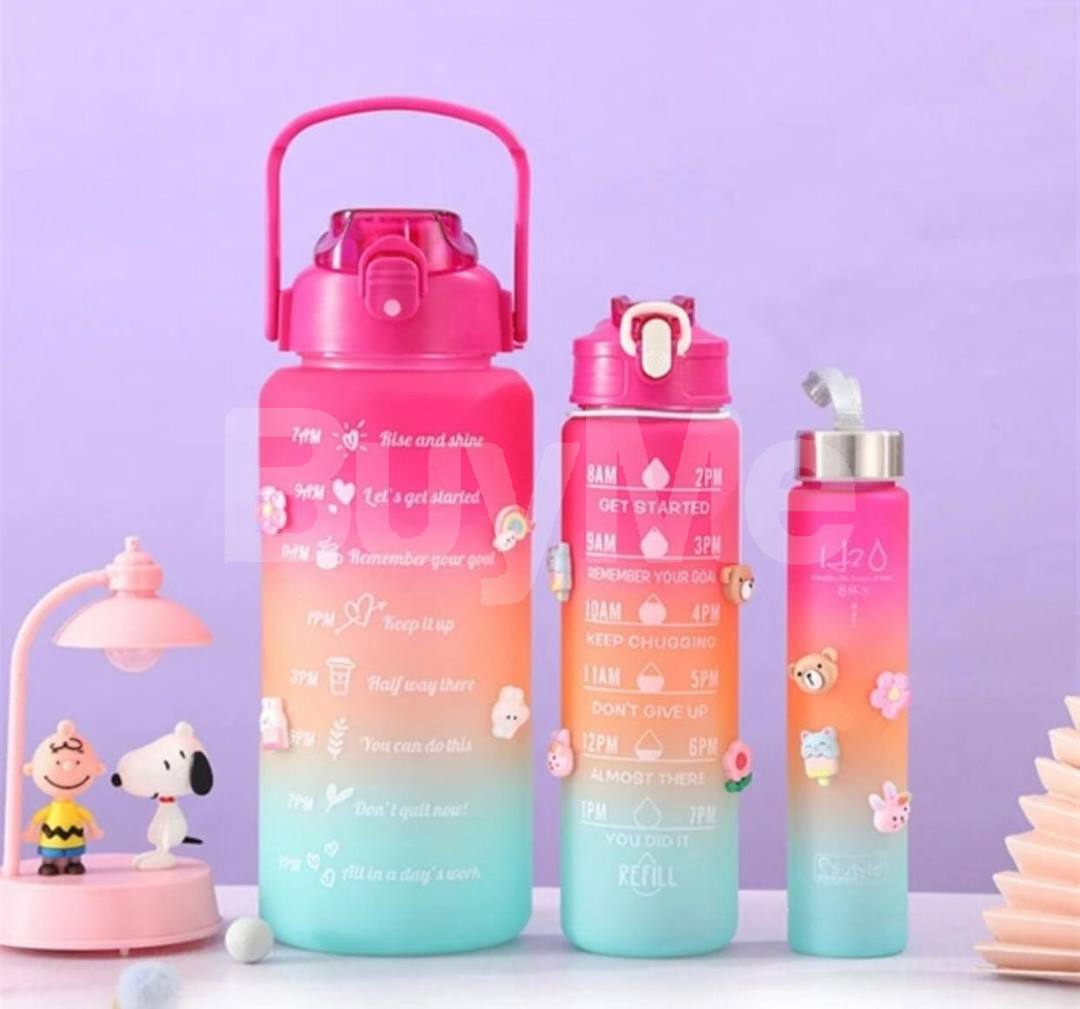 3 IN 1 BOTTLE