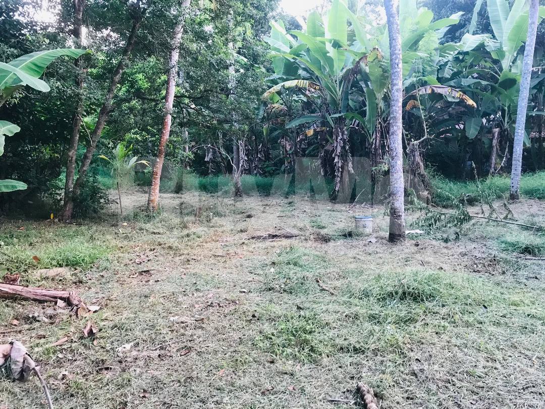 LAND FOR SALE IN PILIYANDALA