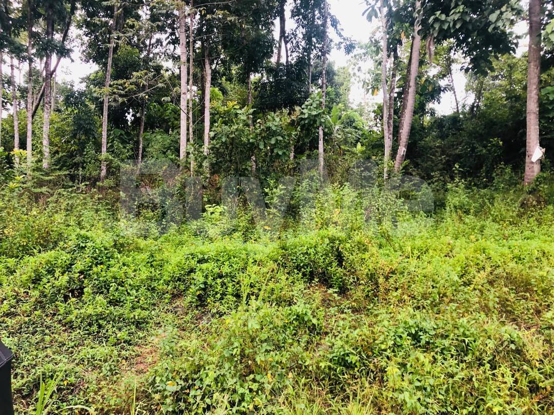 කෑගල්ලෙන් අගනා ඉඩමක් විකිණීමට