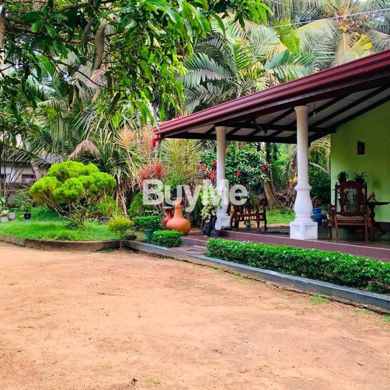 LAND & HOUSE FOR SALE IN KALUTARA KATUKURUNDA SEBASTIAN ROAD