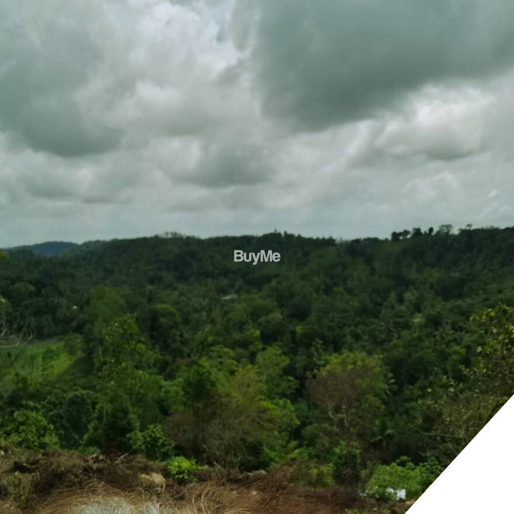 LAND FOR QUICK SALE - 2 ACRES