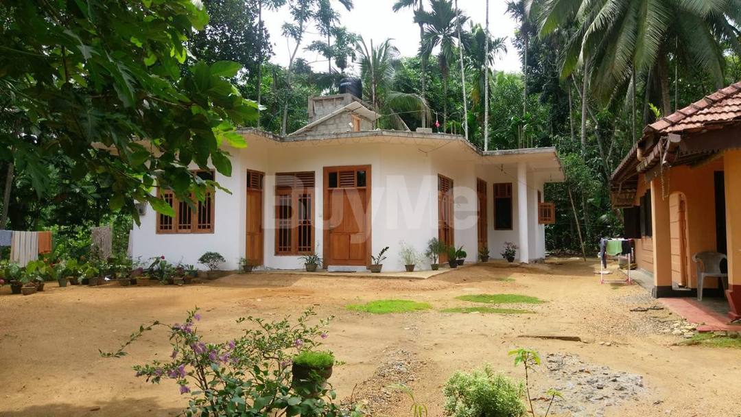කොළඹට නුදුරින් වටිනා ඉඩමක් විකිණීමට