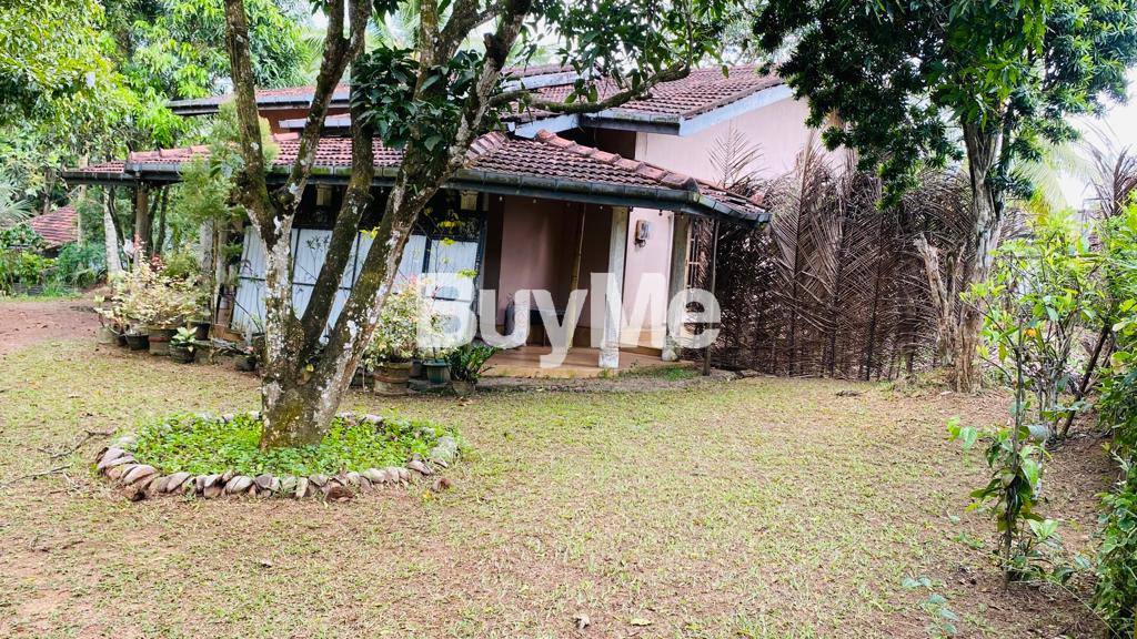 LAND WITH HOUSE FOR SALE