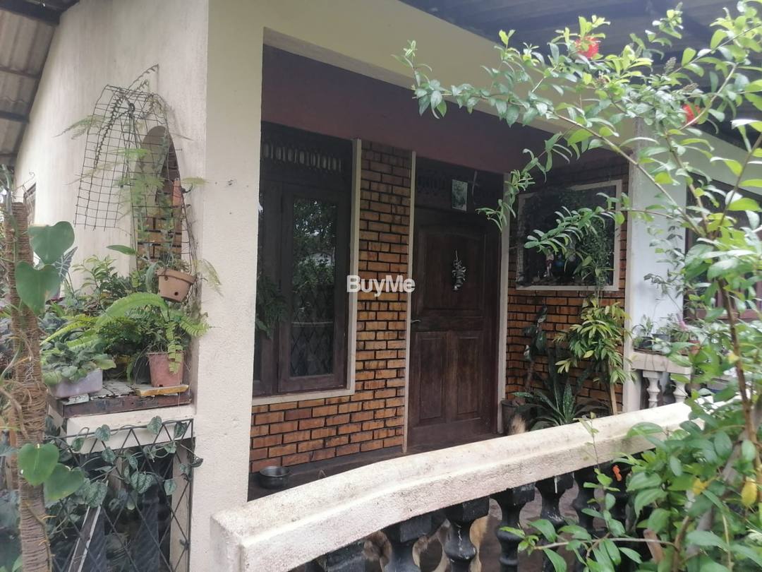 LUXURY HOUSE FOR SALE IN PILIYANDALA