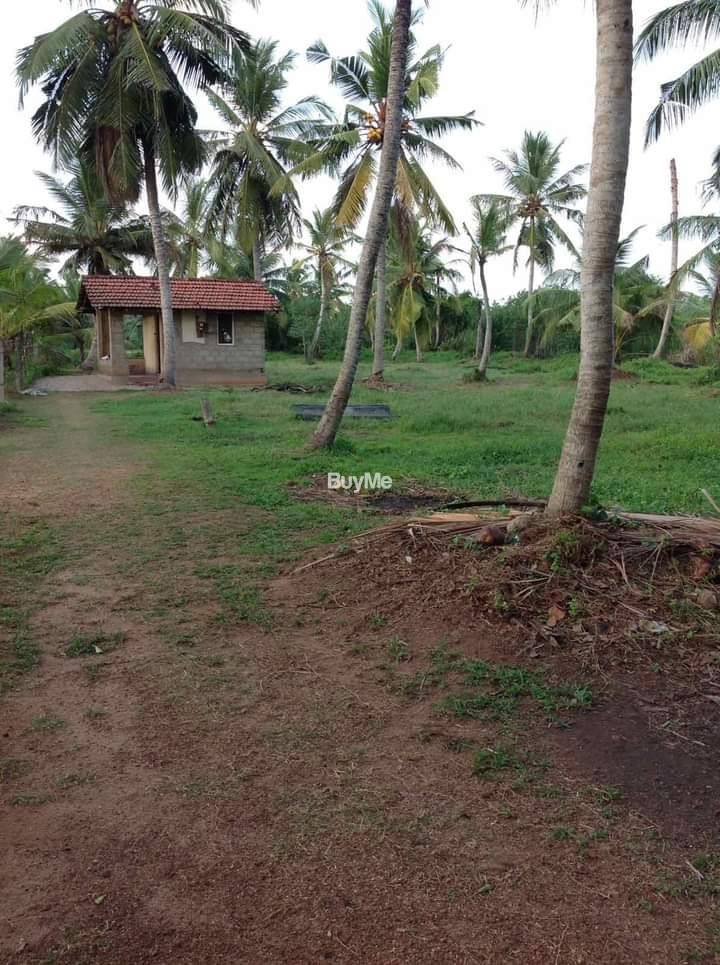 360 PERCHES LAND FOR SALE IN BOPITIYA
