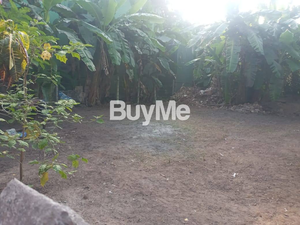 VALUABLE LAND FOR SALE IN MORATUWA