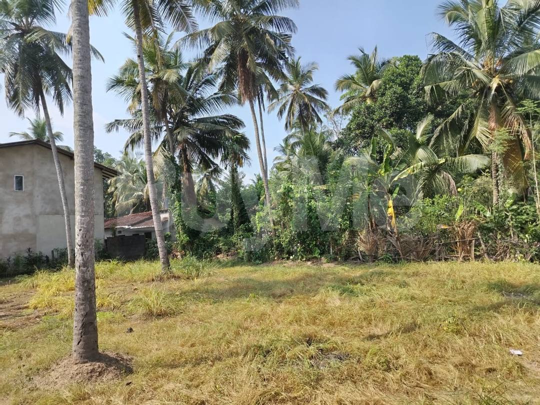 HOUSE FOR SALE IN YAKKALA – IDEAL COCONUT LAND