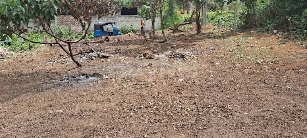 LAND FOR SALE MATARA