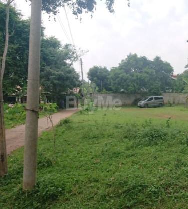 LAND FOR SALE IN EMBILIPITIYA, RATNAPURA
