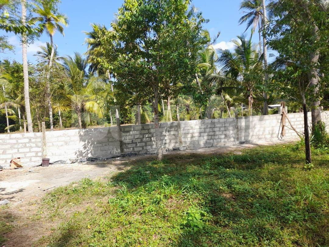 LAND FOR SALE IN NATTANDIYA