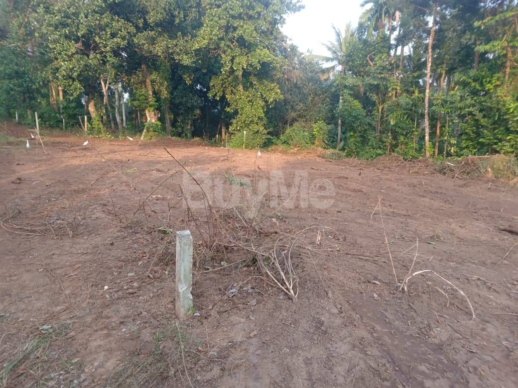LAND FOR SALE IN KESBEWA