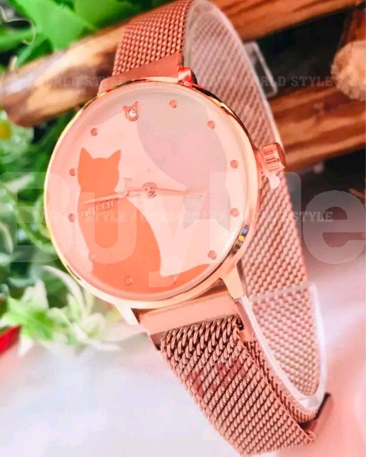 MAGNET DESIGN LADIES WATCH